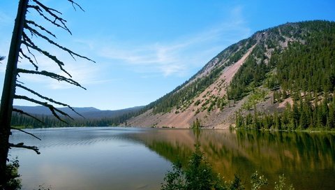 Обои вода, дерево, берег, море, пляж, склон, гора, water, tree, shore, sea, beach, slope, mountain разрешение 1920x1200 Загрузить