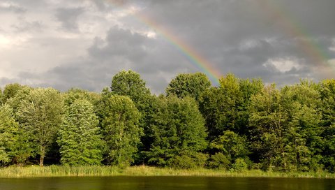 Обои деревья, вода, река, зелень, лес, радуга, trees, water, river, greens, forest, rainbow разрешение 1920x1200 Загрузить