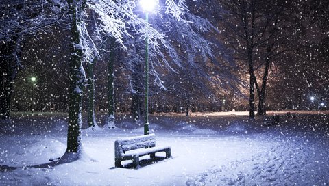 Обои ночь, деревья, снег, зима, парк, фонарь, лавка, night, trees, snow, winter, park, lantern, shop разрешение 5268x3609 Загрузить