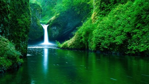 Обои река, зелень, водопад, river, greens, waterfall разрешение 1920x1080 Загрузить