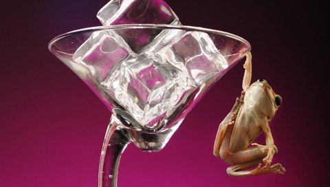 Обои фон, цвет, лёд, лягушка, бокал, кубики льда, background, color, ice, frog, glass, ice cubes разрешение 1920x1200 Загрузить