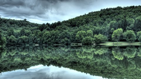 Обои вода, лес, отражение, water, forest, reflection разрешение 2560x1600 Загрузить