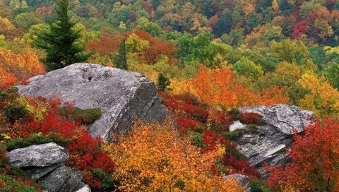 Обои небо, деревья, природа, осень, камень, the sky, trees, nature, autumn, stone разрешение 1999x1333 Загрузить