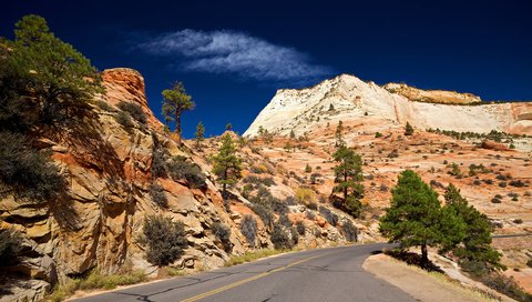 Обои небо, дорога, скалы, пустыня, юта, zion national park, the sky, road, rocks, desert, utah разрешение 2560x1600 Загрузить