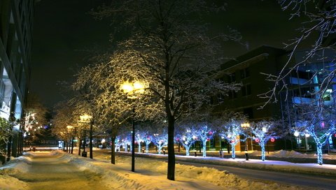 Обои деревья, фонари, огни, снег, зима, город, trees, lights, snow, winter, the city разрешение 1920x1200 Загрузить