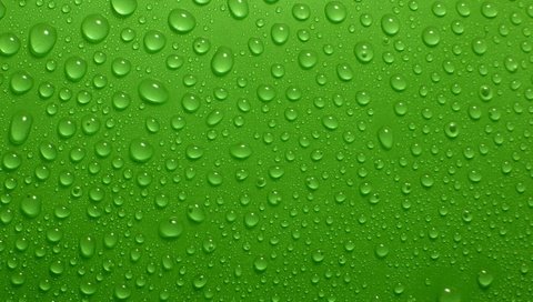 Обои зелёный, фон, капли, капли воды, green, background, drops, water drops разрешение 1920x1200 Загрузить