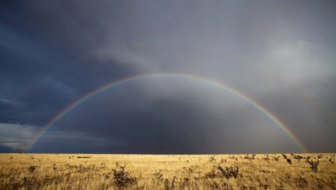 Обои небо, трава, облака, радуга, нью-мексико, the sky, grass, clouds, rainbow, new mexico разрешение 2560x1600 Загрузить