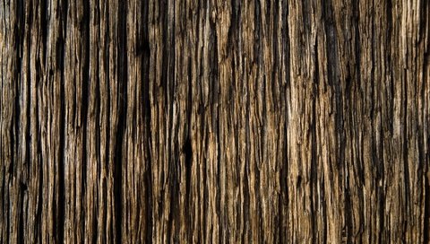 Обои дерево, текстура, доска, обоя, древесина, красивая, tree, texture, board, wallpaper, wood, beautiful разрешение 2048x1122 Загрузить