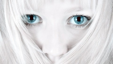 Обои глаза, белый, волосы, eyes, white, hair разрешение 1920x1200 Загрузить