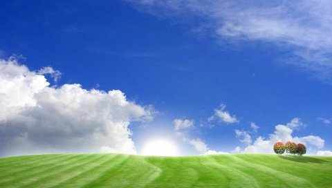 Обои небо, трава, деревья, холмы, поля, поле, пейзажи, the sky, grass, trees, hills, field, landscapes разрешение 1920x1200 Загрузить
