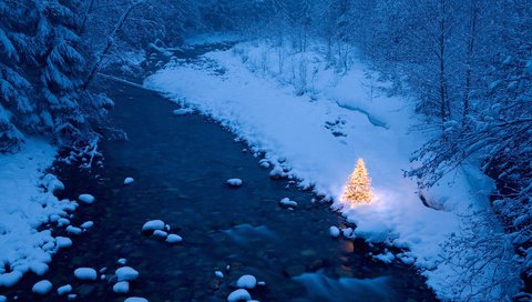 Обои река, елка, лес, гирлянды, зимний, новогодняя, river, tree, forest, garland, winter, christmas разрешение 1920x1200 Загрузить