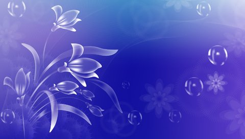 Обои цветочки, пузырики, на голубом фоне, flowers, bubbles, on a blue background разрешение 1920x1200 Загрузить
