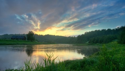 Обои трава, озеро, лес, отражение, grass, lake, forest, reflection разрешение 1920x1080 Загрузить