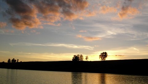 Обои облака, вечер, природа, дерево, закат, clouds, the evening, nature, tree, sunset разрешение 1920x1080 Загрузить