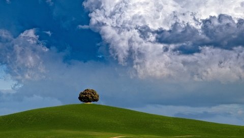 Обои облака, дерево, холм, clouds, tree, hill разрешение 2200x1650 Загрузить