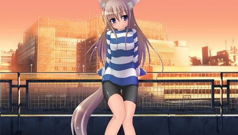 Обои город, ножки, ушки, лисичка, хвостик, the city, legs, ears, fox, ponytail разрешение 2000x1423 Загрузить