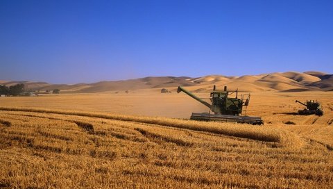 Обои поля, комбаины, урожай, field, kombain, harvest разрешение 2245x1200 Загрузить