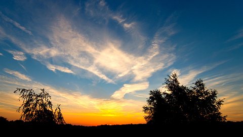 Обои облака, деревья, закат, clouds, trees, sunset разрешение 1920x1200 Загрузить