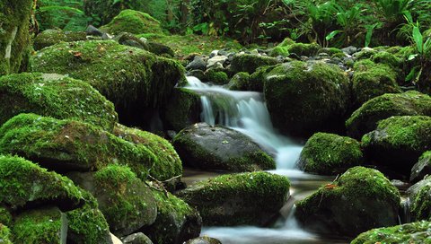 Обои камни, зелень, ручей, водопад, stones, greens, stream, waterfall разрешение 2560x1600 Загрузить
