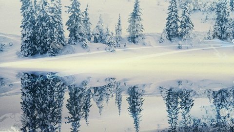 Обои снег, зима, отражение, елки, snow, winter, reflection, tree разрешение 1920x1440 Загрузить