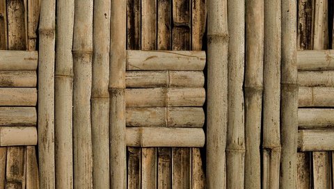 Обои текстура, стена, бамбук, фактура, плетение, texture, wall, bamboo, netting разрешение 1920x1200 Загрузить