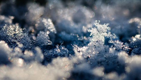 Обои снег, обои, зима, макро, снежинки, фото, фон, snow, wallpaper, winter, macro, snowflakes, photo, background разрешение 2560x1600 Загрузить