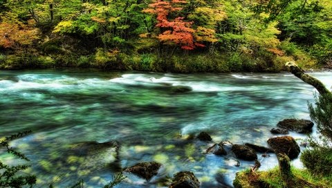 Обои деревья, река, камни, волны, дикие, trees, river, stones, wave, wild разрешение 2560x1600 Загрузить