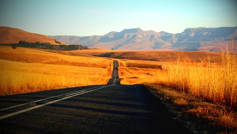 Обои дорога, трава, фото, пейзажи, красота, путь, дороги, road, grass, photo, landscapes, beauty, the way разрешение 1920x1200 Загрузить