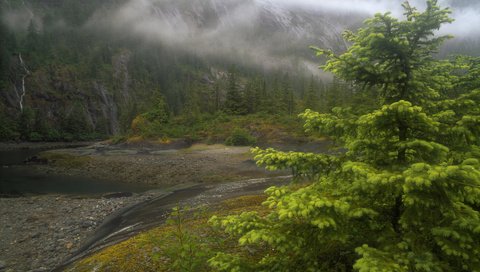 Обои река, туман, аляска, river, fog, alaska разрешение 1920x1200 Загрузить