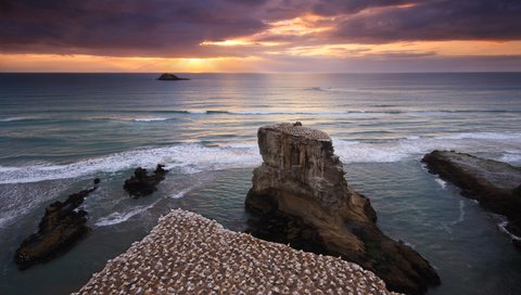 Обои небо, вода, скалы, берег, закат, море, птицы, новая зеландия, the sky, water, rocks, shore, sunset, sea, birds, new zealand разрешение 2560x1600 Загрузить