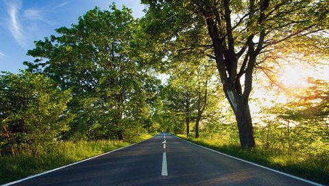 Обои дорога, деревья, солнце, зелёный, road, trees, the sun, green разрешение 2560x1600 Загрузить