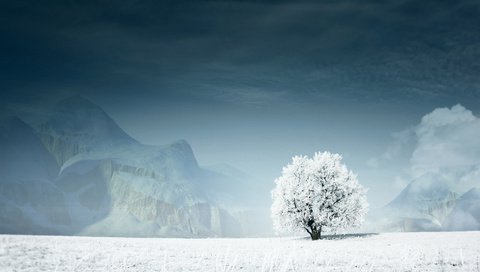 Обои горы, снег, дерево, зима, mountains, snow, tree, winter разрешение 1920x1080 Загрузить