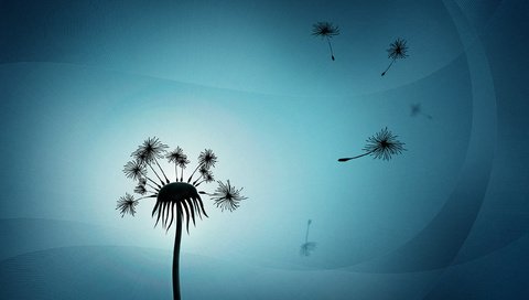 Обои свет, минимализм, одуванчик, пух, light, minimalism, dandelion, fluff разрешение 2560x1600 Загрузить