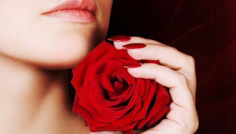 Обои девушка, роза, губы, ногти, girl, rose, lips, nails разрешение 2560x1600 Загрузить