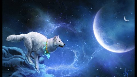 Обои звезды, планеты, белый, волк, мистика, stars, planet, white, wolf, mystic разрешение 2882x1871 Загрузить