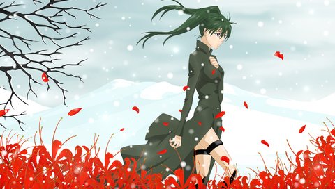 Обои цветы, поле, слезы, d.gray-man, lenalee lee, flowers, field, tears разрешение 2560x1600 Загрузить