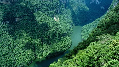 Обои река, горы, лес, зелёный, ущелье, мексика, river, mountains, forest, green, gorge, mexico разрешение 1920x1200 Загрузить