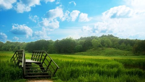 Обои трава, деревья, лес, мост, луг, grass, trees, forest, bridge, meadow разрешение 2560x1600 Загрузить