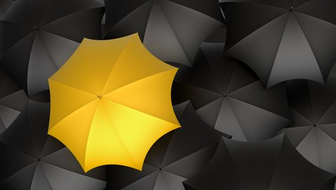 Обои желтый, черный цвет, зонты, yellow, black color, umbrellas разрешение 5200x3900 Загрузить