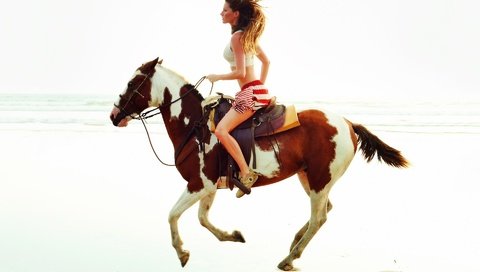 Обои лошадь, модель, романтично, галоп, экстремально, horse, model, romantic, gallop, extremely разрешение 1920x1200 Загрузить