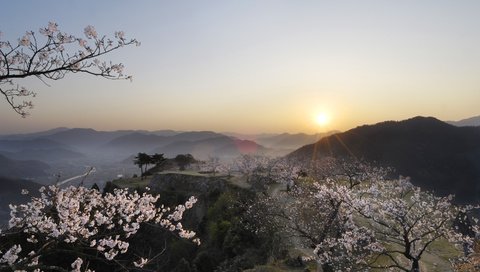 Обои горы, туман, япония, сакура, mountains, fog, japan, sakura разрешение 1920x1080 Загрузить