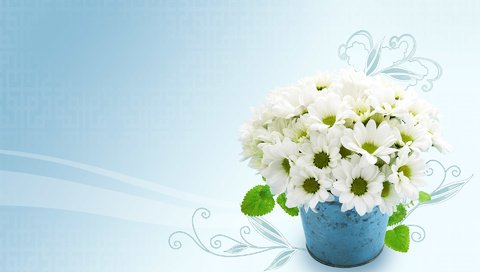 Обои цветы, лепестки, букет, белые, хризантемы, flowers, petals, bouquet, white, chrysanthemum разрешение 1920x1200 Загрузить