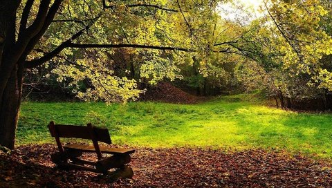 Обои деревья, листва, осень, скамейка, trees, foliage, autumn, bench разрешение 1920x1080 Загрузить