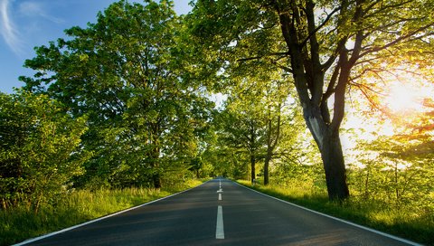 Обои дорога, деревья, листва, лето, разметка, road, trees, foliage, summer, markup разрешение 1920x1200 Загрузить