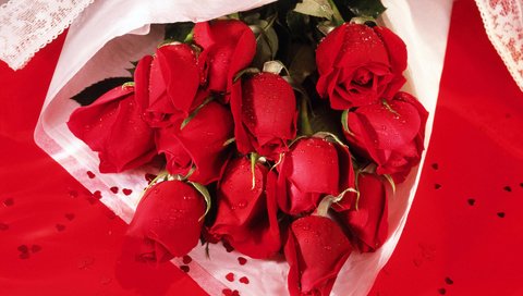 Обои розы, роза, букет, roses, rose, bouquet разрешение 1920x1200 Загрузить
