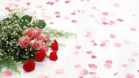 Обои розы, лепестки, букет, roses, petals, bouquet разрешение 1920x1200 Загрузить
