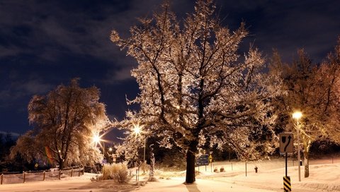 Обои ночь, деревья, фонари, зима, парк, иней, знаки, night, trees, lights, winter, park, frost, signs разрешение 2560x1600 Загрузить