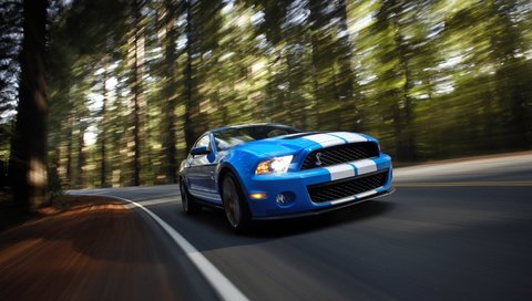 Обои скорость, мускул-кар, gt500, шелби, speed, muscle car, shelby разрешение 5616x3744 Загрузить