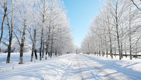 Обои дорога, деревья, снег, лес, зима, даль, road, trees, snow, forest, winter, dal разрешение 1920x1080 Загрузить