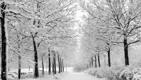 Обои снег, природа, зима, парк, чёрно-белое, аллея, уличный фонарь, snow, nature, winter, park, black and white, alley разрешение 2704x1764 Загрузить